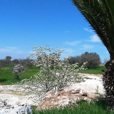 Trulli Pietra Preziosa Bed and Breakfast *