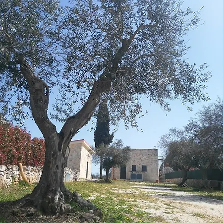 Trulli Pietra Preziosa Bed and Breakfast